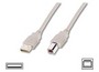 Кабель Digitus ASSMANN USB 2.0 (AM/BM) 3.0m, biege