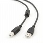 Кабель Gembird CCF-USB2-AMBM-10 преміум якість USB 2.0 A-папа/B-папа, 3 м з феритовою серцевиною