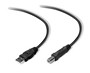 F3U154CP1.8M  Belkin F3U154CP1.8M USB 2.0 (AM/BM) 1.8 ( ), Blister(E)