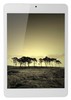 Планшет Globex GU7811 7.85
