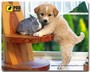 Килимок для