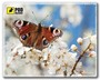 Килимок для