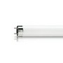 Лампа люмінесцентна PHILIPS G13 TL-D 600mm 18W/33-640 1SL/25