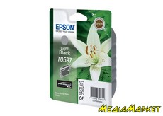 C13T05974010  Epson C13T05974010 StPhoto R2400 light black