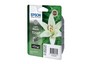 Картридж Epson C13T05974010 StPhoto R2400 light black